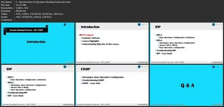 Cisco Ospf Hands-On Certification Training