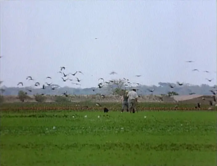 Land of the Anaconda (1998)