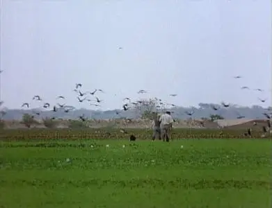 Land of the Anaconda (1998)