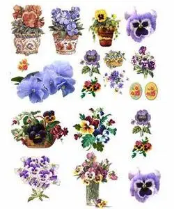 Pansy Clipart For Photoshop