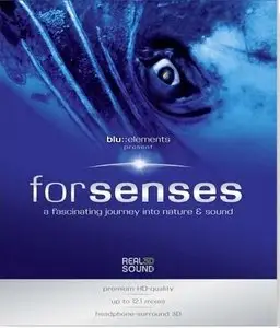 Blu::elements - Forsenses (2009)