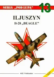Iljuszyn Il-28 "Beagle" (Seria Pod Lupą 13)