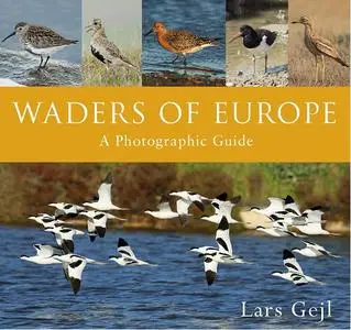 Waders of Europe: A Photographic Guide