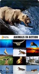 Animals in Action