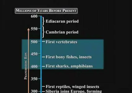 TTC - Big History: The Big Bang, Life on Earth, and the Rise of Humanity [repost]
