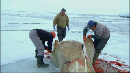 (Arte) Les derniers chasseurs du royaume des glaces | Die letzten Jäger des Eismeeres (2011)
