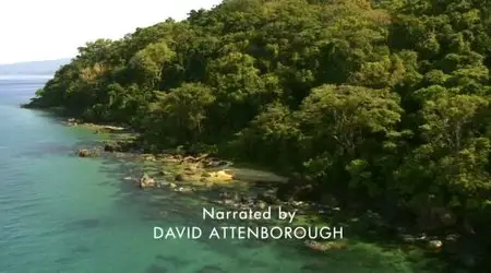 BBC Natural World - Madagascar, Lemurs and Spies (2012)