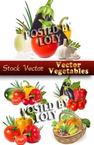 Vector Vegetables - Stock Vector