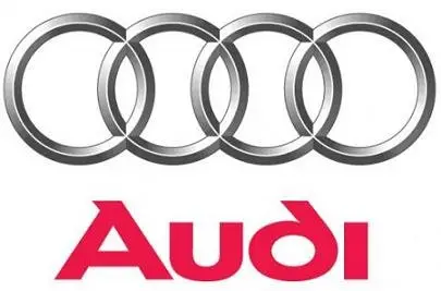 Elsa v4.00 Audi - 01.2012