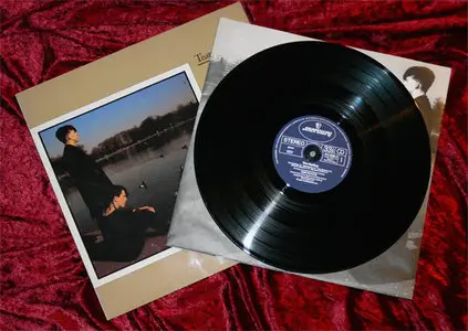 Tears For Fears - The Hurting (Mercury 811 039-1) (GER 1983) (Vinyl 24-96 & 16-44.1)
