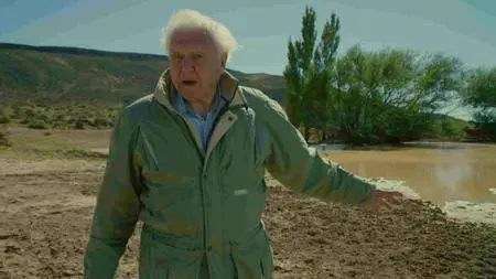 BBC - Attenborough and the Giant Dinosaur (2016)