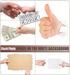 Hands on the white background - Stock Photo