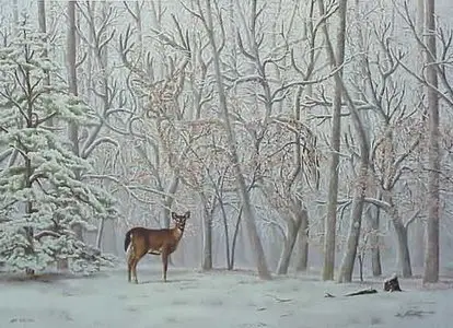 Optical illusions in 2D & 3D