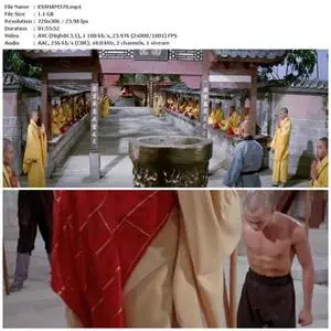 The 36th Chamber of Shaolin (1978) [REMASTERED]