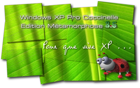 Windows XP Coccinelle Métamorphose 3.5
