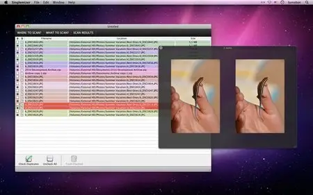 Singlemizer v4.4.0 Mac OS X