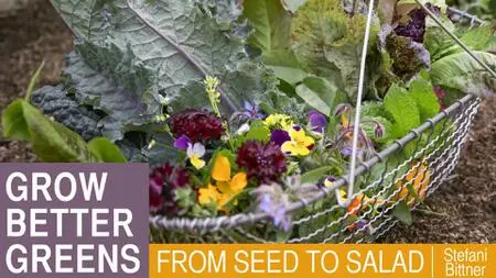 Grow Better Greens: From Seed to Salad
