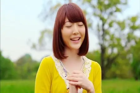 Various Artists - J-POP Music Video Compilation (1983-2013)