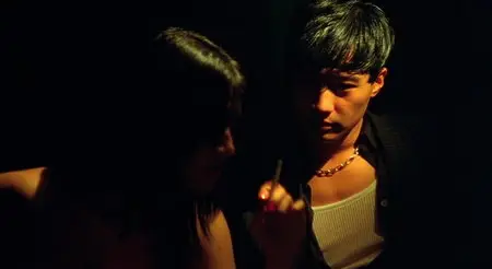 Fallen Angels (1995)