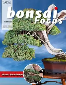 Bonsai Focus (English Edition) - March-April 2020