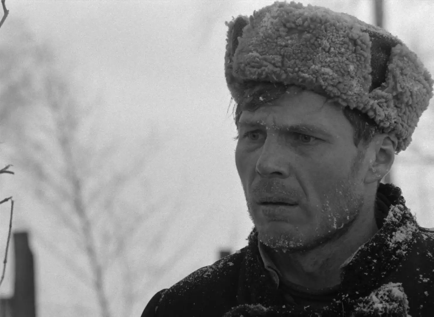 The Ascent / Voskhozhdenie / Восхождение (1977) [Criterion ...