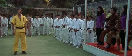 Enter the Dragon (1973)