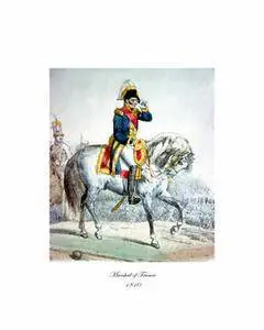 The French Napoleonic Army of Carle Vernet (repost)