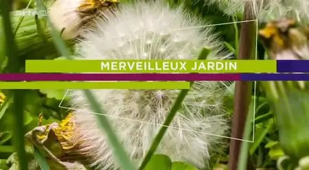 (Arte) Merveilleux jardin (2014)