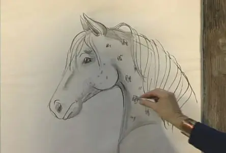 Easy 2 Draw Horses with Cordi [repost]