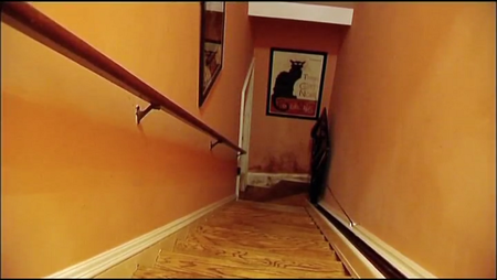 The Staircase (2004)