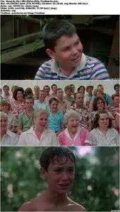Stand By Me (1986) 25th Anniversary Edition [Reuploaded]