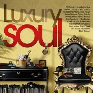 VA - Luxury Soul 2024