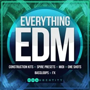 Audentity Everything EDM WAV MiDi SPiRE