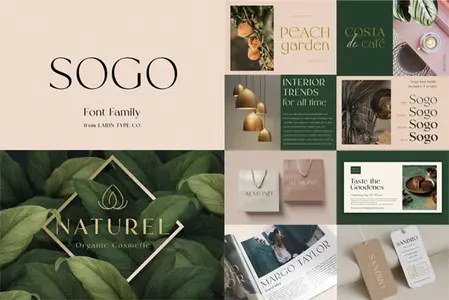 Sogo - Elegant Sans Serif Font Family