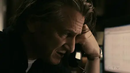 Fair Game (2010)