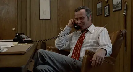 Save the Tiger (1973)