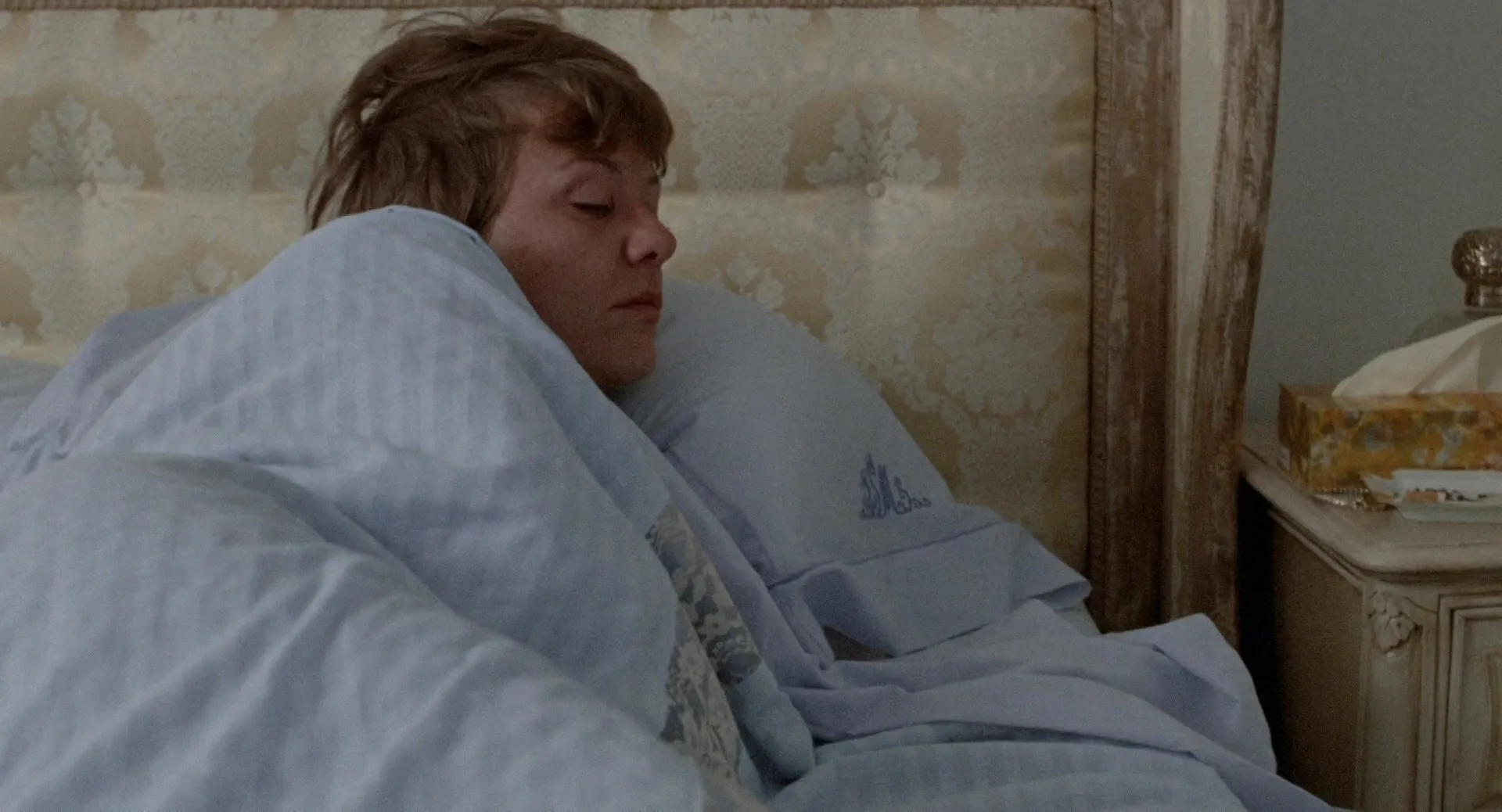 Save the Tiger (1973)