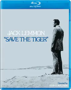 Save the Tiger (1973)
