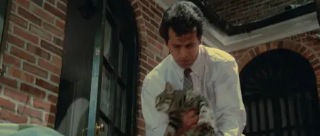 Cat's Eye (1985) [REMASTERED] + Commentary