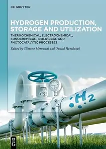 Hydrogen Production, Storage and Utilization: Thermochemical, Electrochemical, Sonochemical, Biological