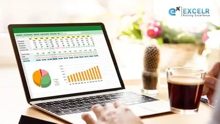 Microsoft Excel | Basic, Intermediate & Advanced Modules