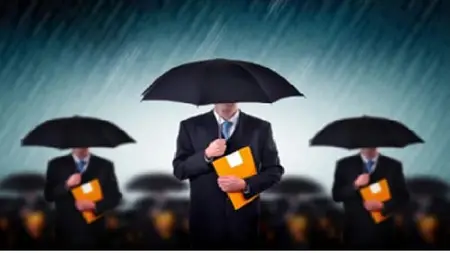 Risk based internal audit - an holistic approach