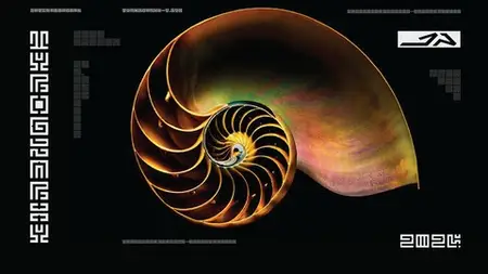 Fibonacci Typography Design 1.618 : Mastering The Harmony