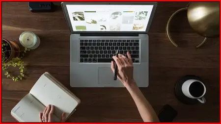 Wordpress. Basic and Advanced. No Programming. 2024
