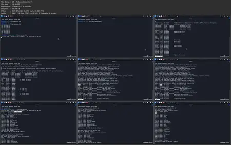 Ethical Hacking: Einführung und grundlegende Techniken