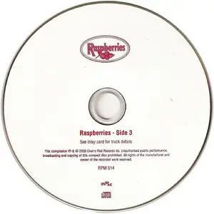 Raspberries - Studio Albums 1972-1974 (4CD) [Reissue 2004-2005]