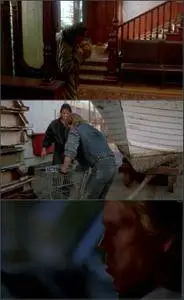 Three Fugitives (1989)
