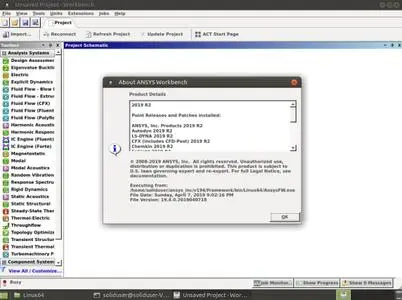 ANSYS Products 2019.R2 Linux