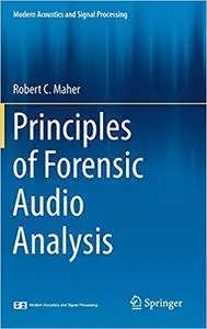 Principles of Forensic Audio Analysis