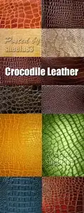 Stock Photo - Crocodile Leather Textures